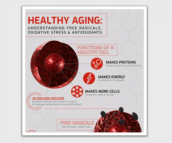 Healthy Aging Info Graphic